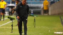 Borghi: "Lo que le falta a la Selección Argentina es trabajo en equipo"