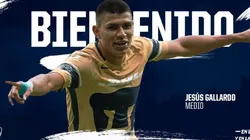 Presentación de Gallardo