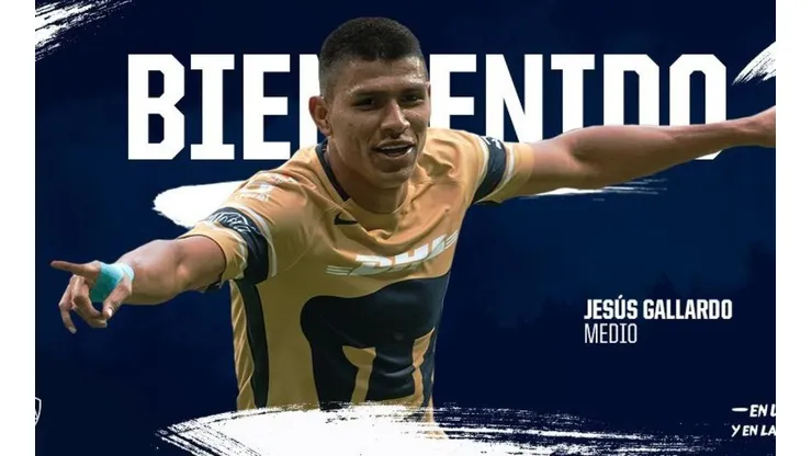 Presentación de Gallardo