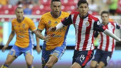 'Tuca' y Tigres rechazan a Chivas por fichaje de una de sus figuras