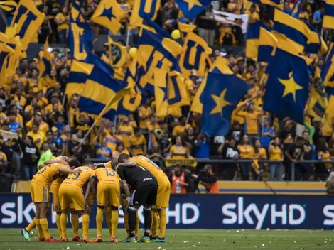 La afición de Tigres se coronó como la mejor del Clausura 2018