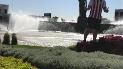 Periodista detractor de Chivas, cumple su apuesta