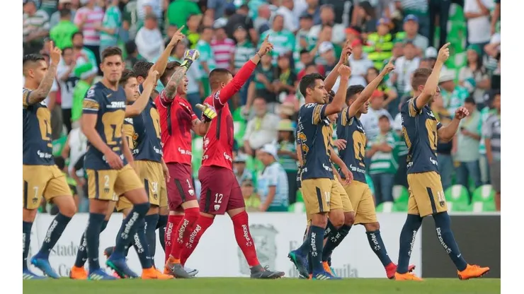Pumas
