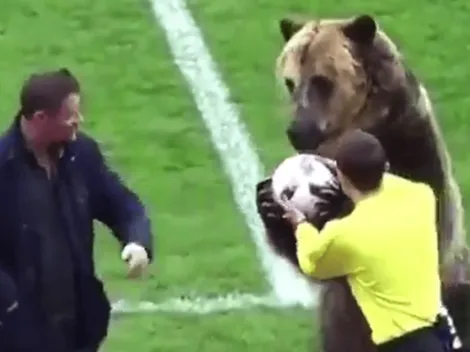 En pleno ascenso ruso, un oso sostuvo y le entregó un balón de fútbol al árbitro