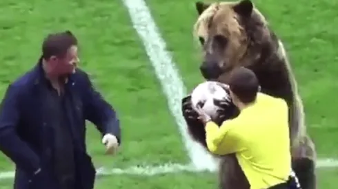 En pleno ascenso ruso, un oso sostuvo y le entregó un balón de fútbol al árbitro