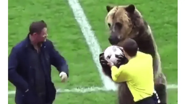 En pleno ascenso ruso, un oso sostuvo y le entregó un balón de fútbol al árbitro