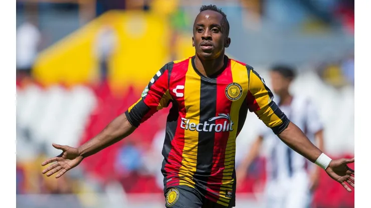 Leones Negros