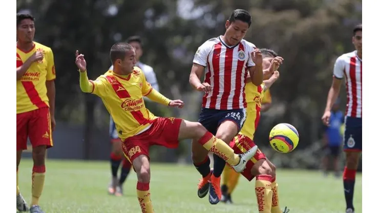 Guadalajara derrotó la jornada pasada a Tecos (Foro: chivasdecorazon.com)