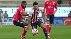 Liga MX: Mira en vivo Chivas vs Veracruz, jornada 14