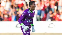 Los Tiburones deben ganar y esperar un tropiezo de Lobos BUAP para salvarse del descenso
