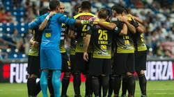 Murciélagos de Sinaloa.