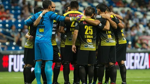 Murciélagos de Sinaloa.