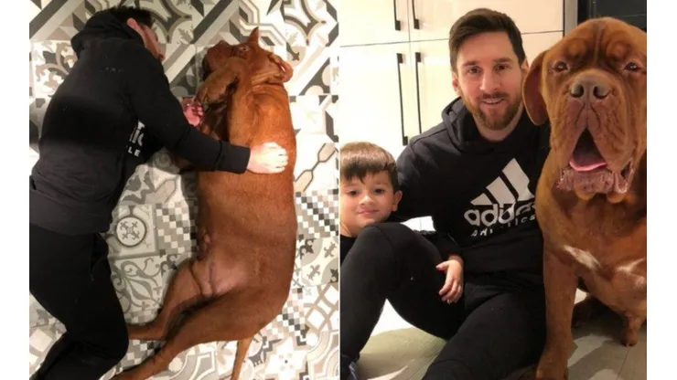 El perro de Messi y Antonella Roccuzzo la pasa mejor que nosotros