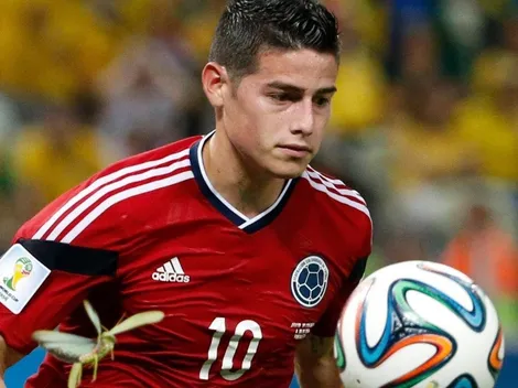 En Rusia temen una invasión de saltamontes para el Mundial