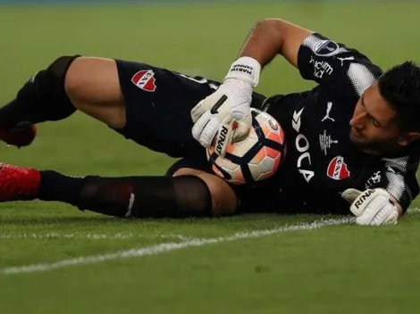 Locura roja: el amague de Campaña