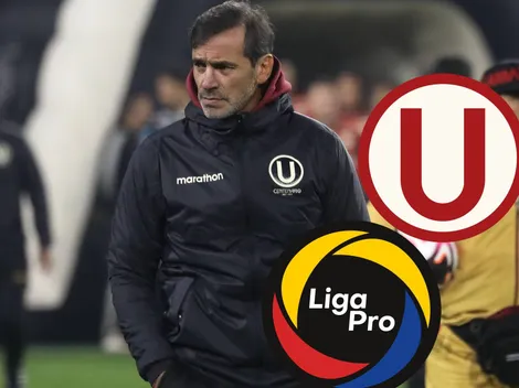 Los conoce de Ecuador: Los tres fichajes que quiere Fabián Bustos para Universitario