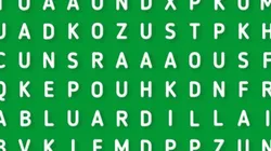 SOLO EL 1% pudo: descubre la palabra ARDILLA en la sopa de letras
