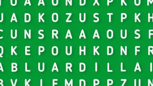 SOLO EL 1% pudo: descubre la palabra ARDILLA en la sopa de letras