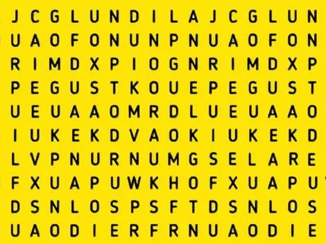 Solo para FENÓMENOS: ubica la palabra MINERALES en 6 segundos