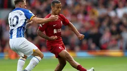 Alexis MacAllister - Thiago Alcantara