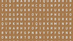 Sopa de letras NIVEL DIOS: encuentra la palabra DIVERTIDO en 7 segundos