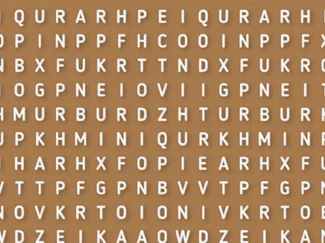 Sopa de letras NIVEL DIOS: encuentra la palabra DIVERTIDO en 7 segundos