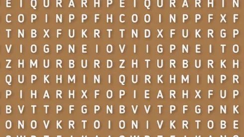 Sopa de letras NIVEL DIOS: encuentra la palabra DIVERTIDO en 7 segundos