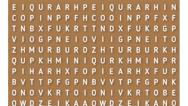 Sopa de letras NIVEL DIOS: encuentra la palabra DIVERTIDO en 7 segundos