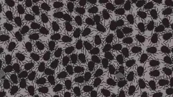Solo el 7% pudo con este desafío visual: encuentra las MOSCAS en 7 segundos