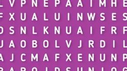 Solo para EXPERTOS: descubre la palabra CALOR en menos de 5 segundos