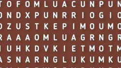 Acertijo nivel FÁCIL: encuentra la palabra PARÍS en 10 segundos