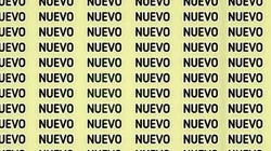 Solo para detectives: encuentra la palabra HUEVO en 5 segundos. Fuente: genial.guru