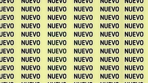 Solo para detectives: encuentra la palabra HUEVO en 5 segundos. Fuente: genial.guru