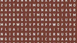 Sólo para expertos: descubre la palabra ZOOLÓGICO en la sopa de letras