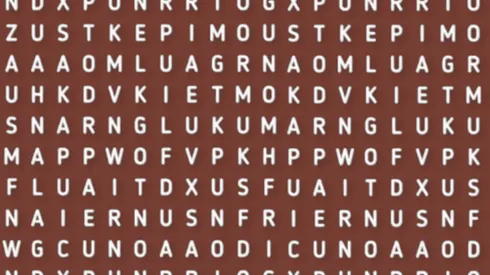 Sólo para expertos: descubre la palabra ZOOLÓGICO en la sopa de letras