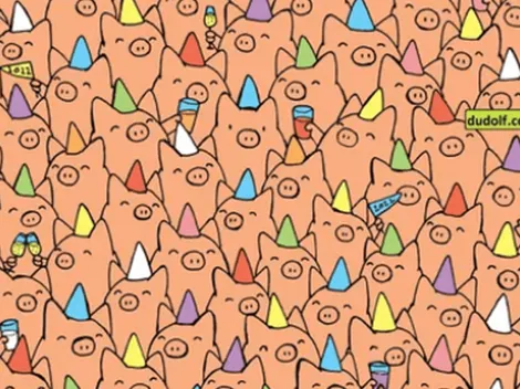 Solo para detectives: descubre los 3 cerdos OCULTOS sin sombrero