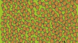 El desafío viral extremo del día.