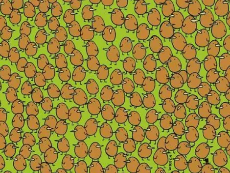 Desafío viral extremo: descubre los kiwis que se encuentran ocultos en la imagen