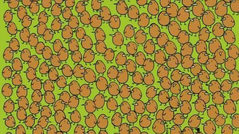 El desafío viral extremo del día.