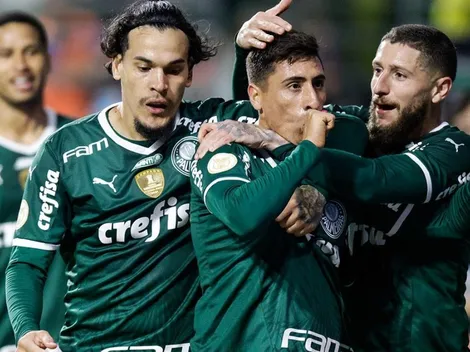 La bonita camiseta de Palmeiras edición exclusiva para hinchas