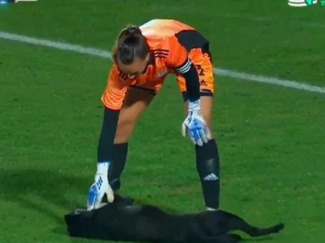 Viral: el perro que no se quería salir del terreno de juego, en Chile