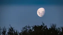 Rituales para hacer en Luna Llena de Fresa.