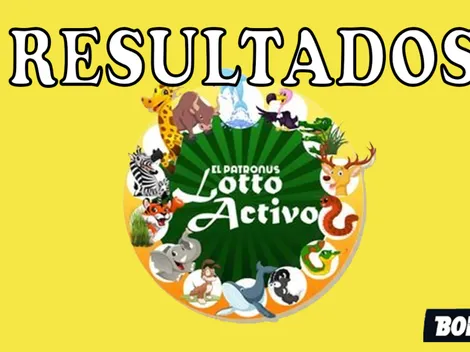 Lotto Activo | Sorteo, resultados y números ganadores Lotería de Animalitos de Venezuela