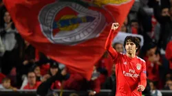 Joao Félix, Benfica
