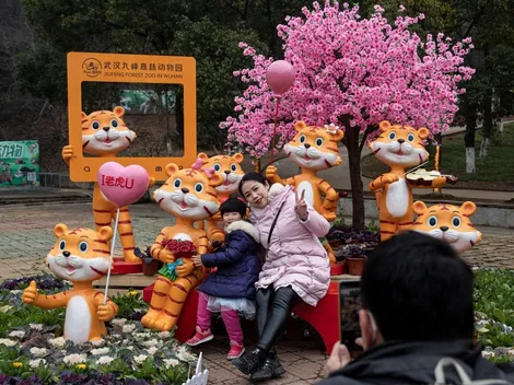 Comenzó el Año Nuevo Chino: ¿Qué animal eres según el año en el que naciste?