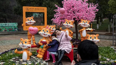 En el 2022, el Año Nuevo Chino se representa con un tigre.