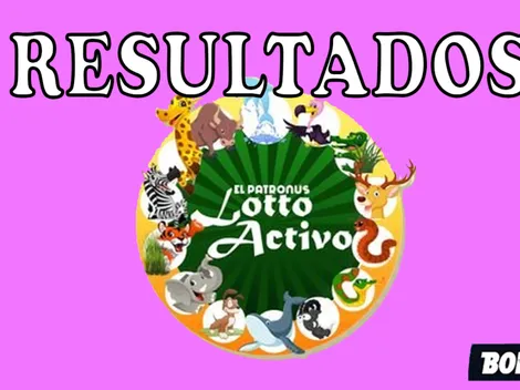 Resultados Lotto Activo: números ganadores Lotería de Animalitos de Venezuela