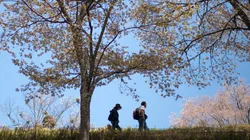 El viaje comienza en enero.