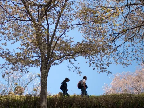 El activista que caminará casi 7.000 kilómetros para presenciar la Copa del Mundo en Qatar
