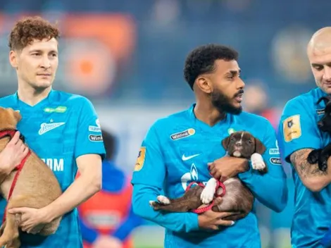 Cuánta ternura: jugadores de Zenit salieron a la cancha con perros para promover la adopción